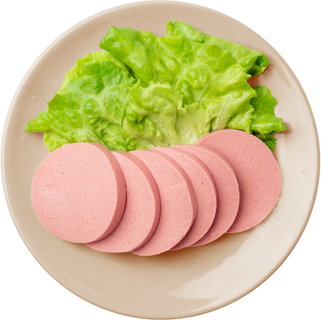 Bologna Style Sausage